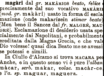 cioè، insomma، Magari و Mica