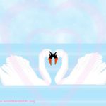 قو های رمانتیک - عشق به سبک ایتالیایی