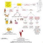 ضمایر ایتالیایی pronome - آموزش زبان ایتالیایی